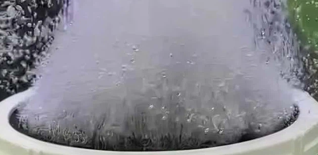 info-629-306 info-629-306